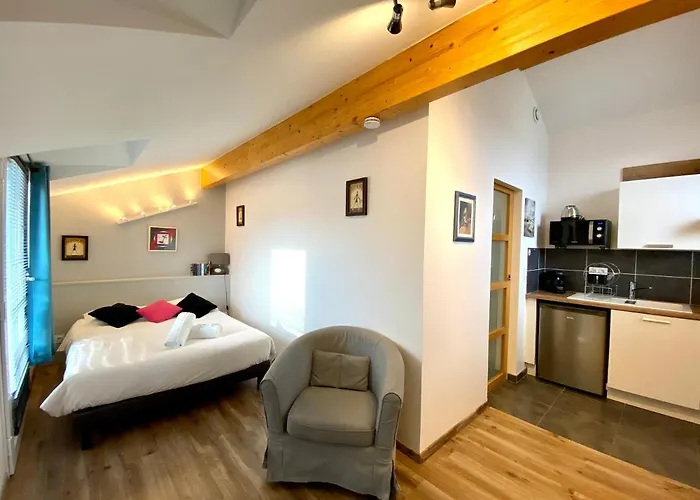 Le Patio - appartements climatisés Toulouse centre